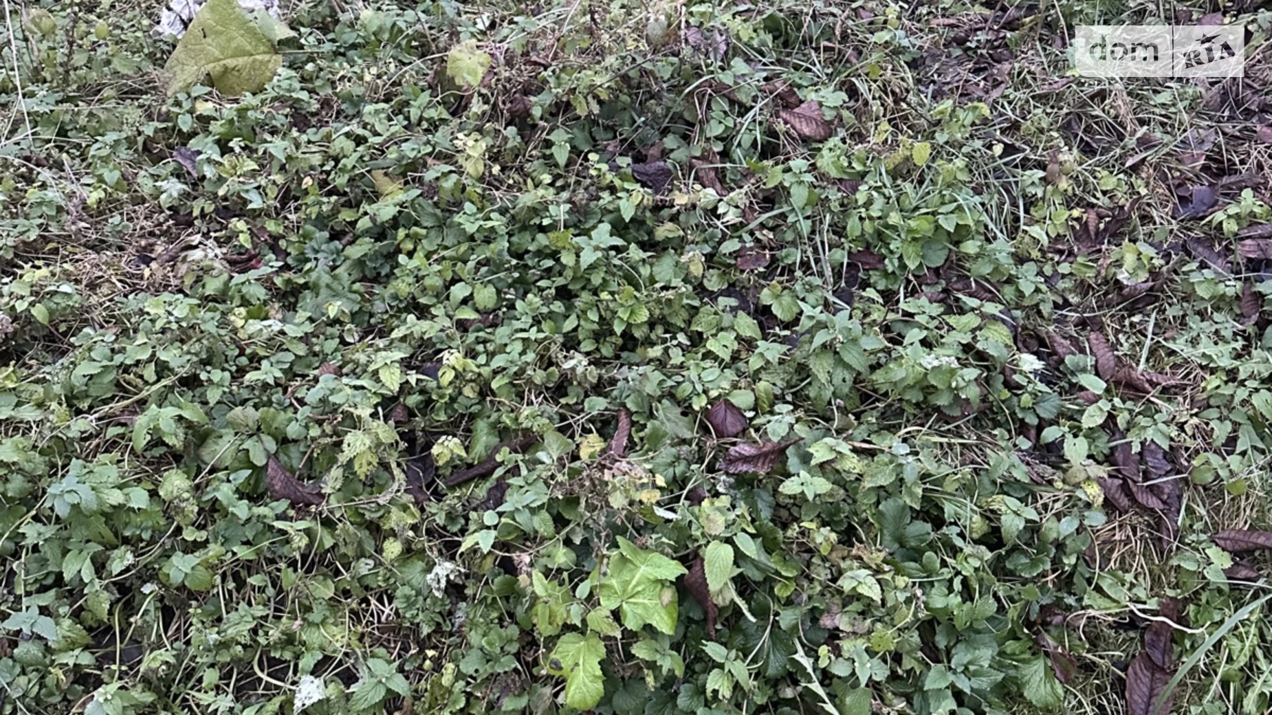 Продається земельна ділянка 0.0036 соток у Рівненській області, цена: 6000 $ - фото 3