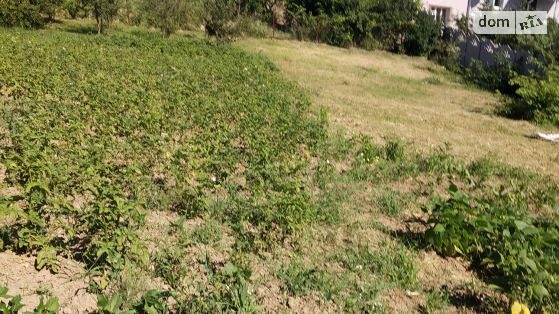 Продается земельный участок 10 соток в Винницкой области, цена: 15000 $ - фото 2