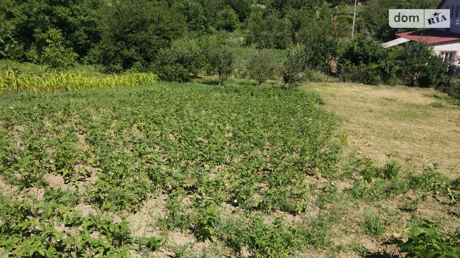Продается земельный участок 10 соток в Винницкой области, цена: 15000 $ - фото 3