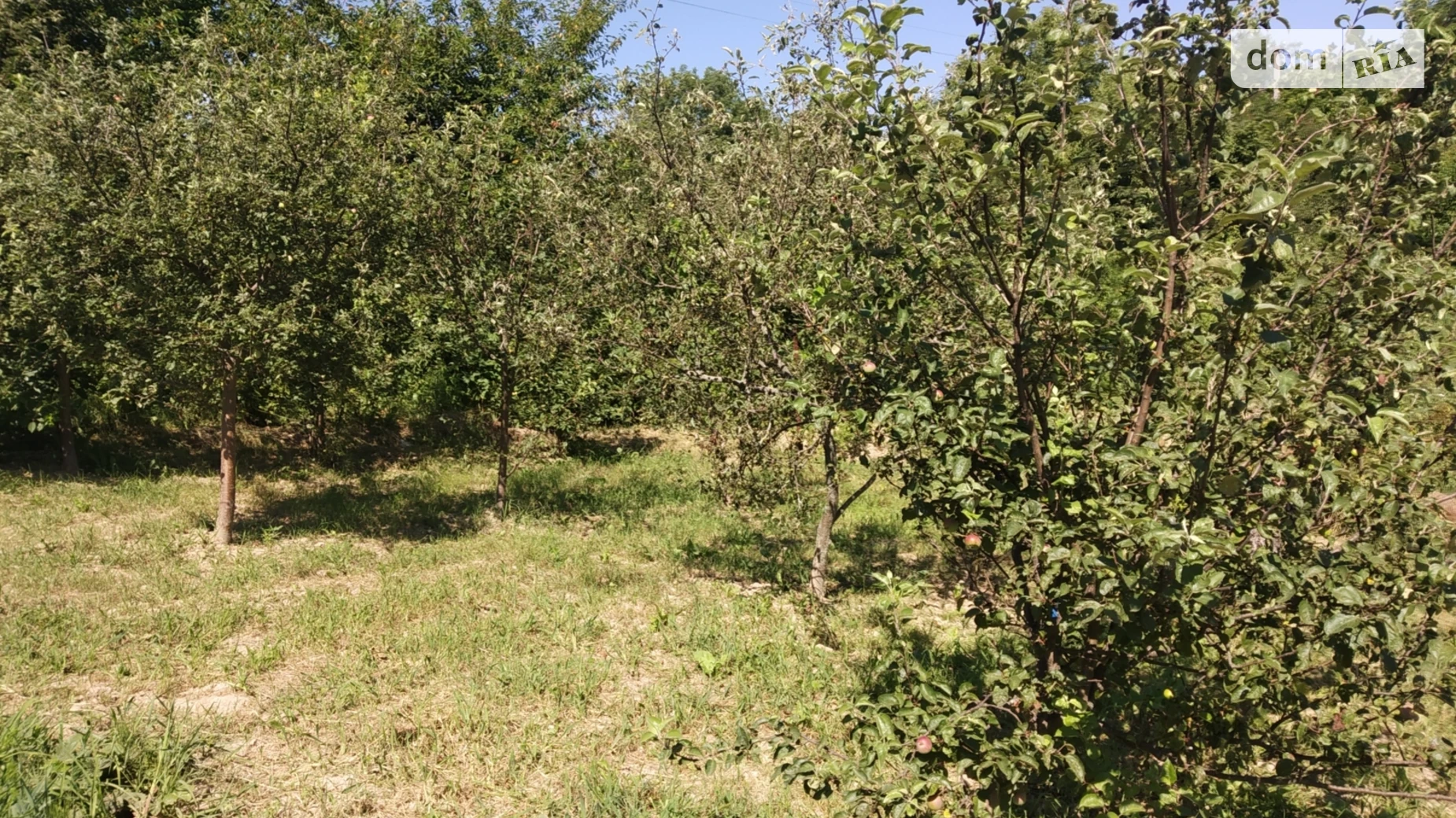 Продается земельный участок 10 соток в Винницкой области, цена: 15000 $ - фото 4