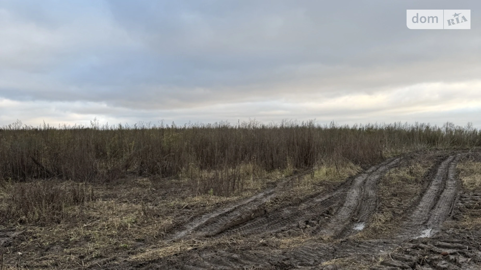 Продается земельный участок 1200 соток в Хмельницкой области, цена: 5000000 $ - фото 3