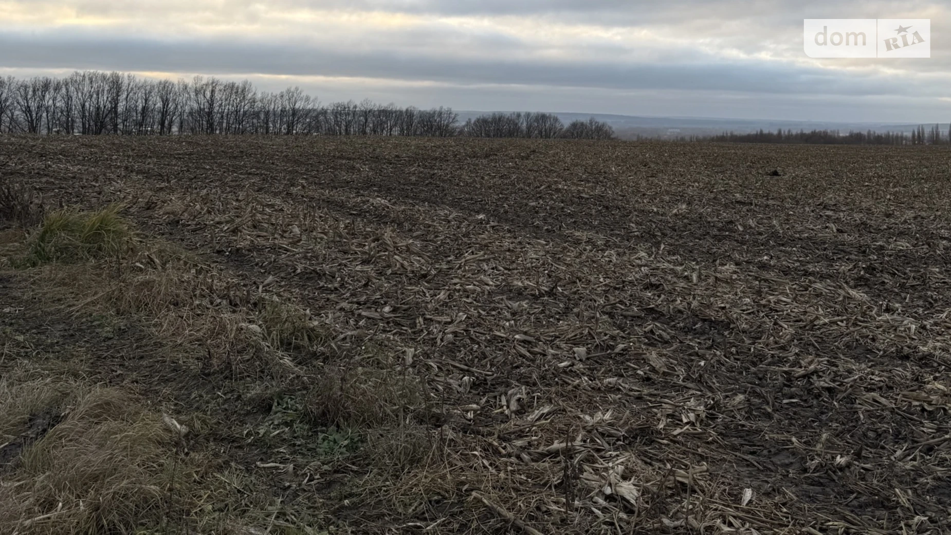 Продается земельный участок 1200 соток в Хмельницкой области, цена: 5000000 $ - фото 5
