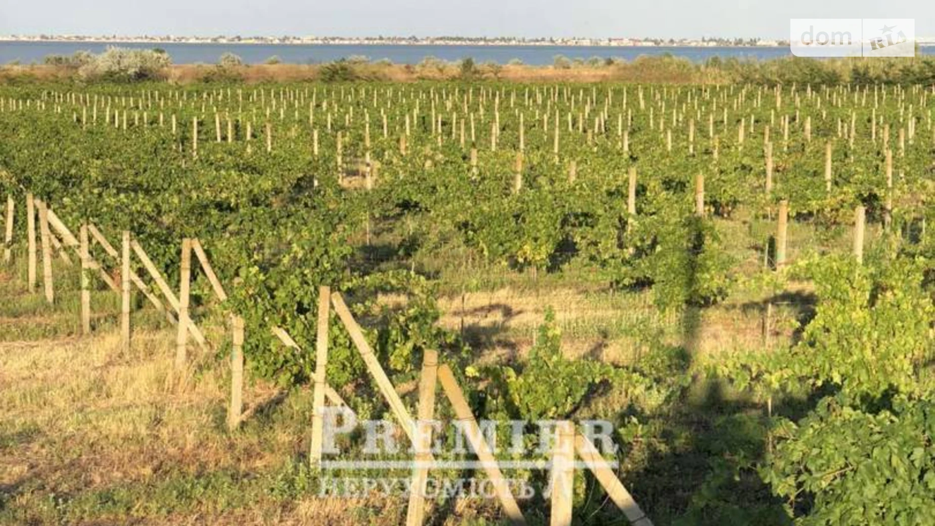 Продается земельный участок 505.29 соток в Одесской области, цена: 30000 $ - фото 3