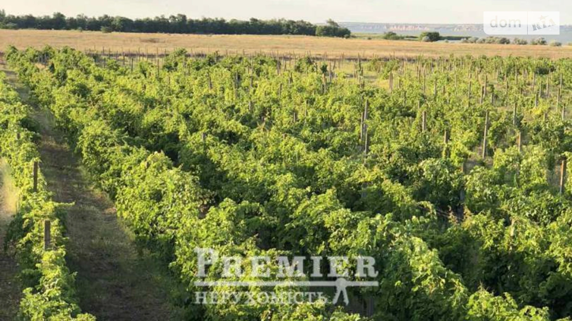 Продается земельный участок 505.29 соток в Одесской области, цена: 30000 $ - фото 2