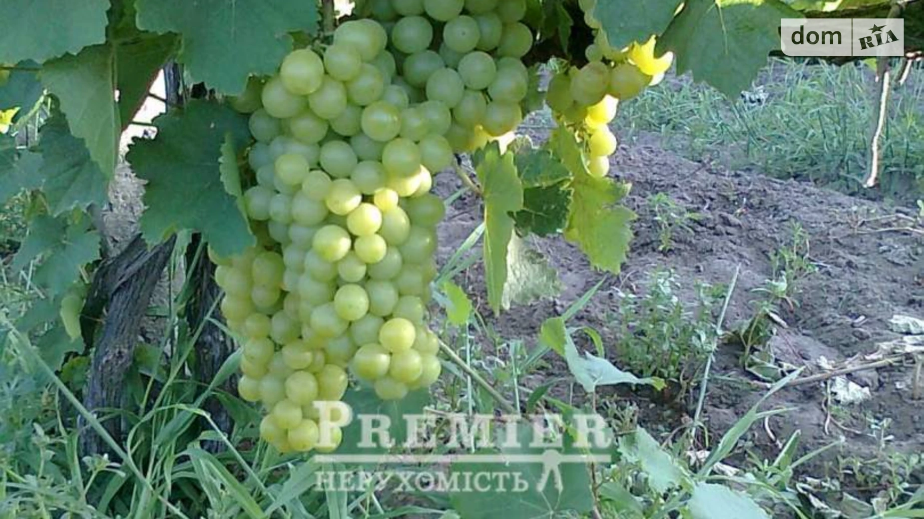 Продается земельный участок 505.29 соток в Одесской области, цена: 30000 $ - фото 4