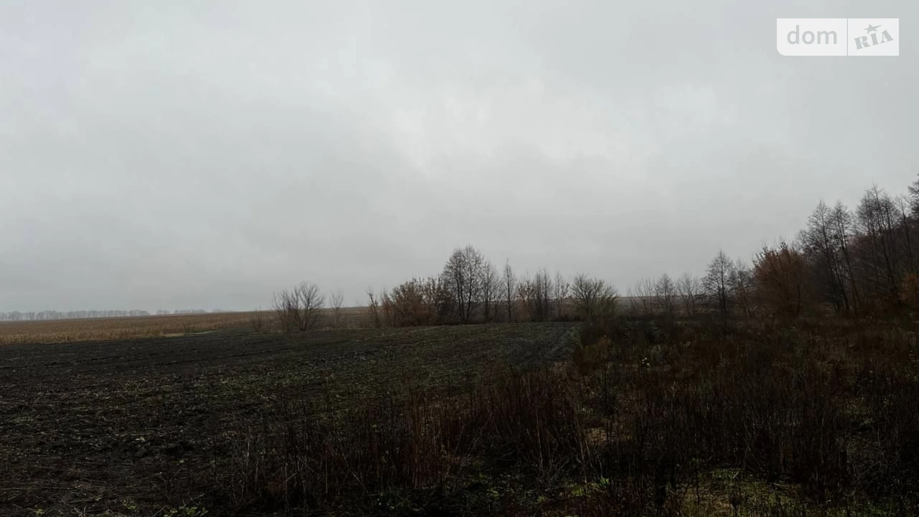 Сдается в аренду земельный участок 9.8 соток в области, цена: 27559 грн - фото 2