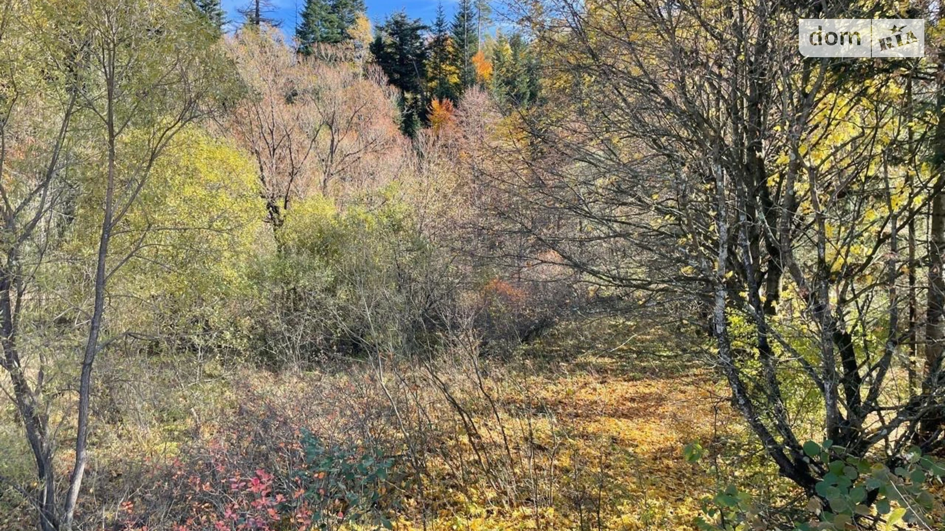 Продается дом на 2 этажа 100 кв. м с камином, цена: 210000 $ - фото 4