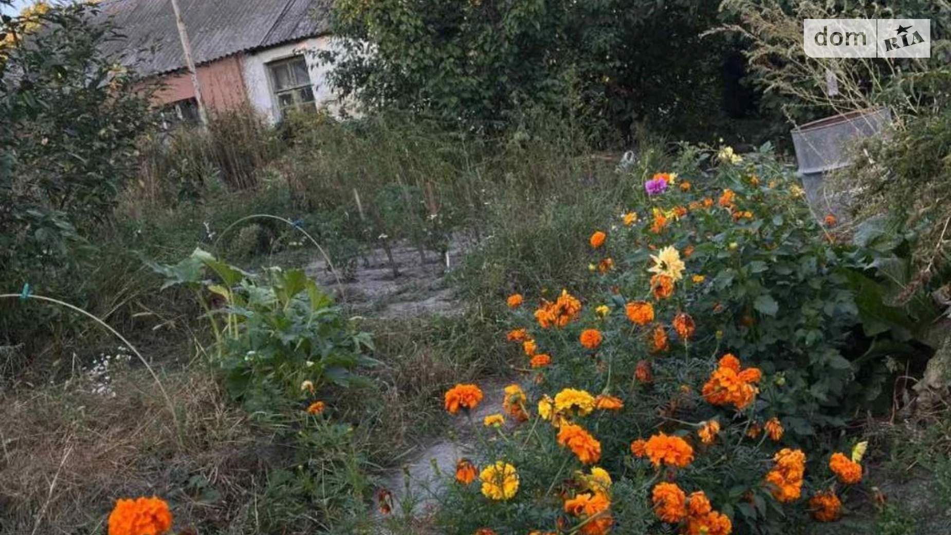 ул. Павлоградская Куреневка Киев Почайна(Петровка), цена: 110000 $ - фото 4