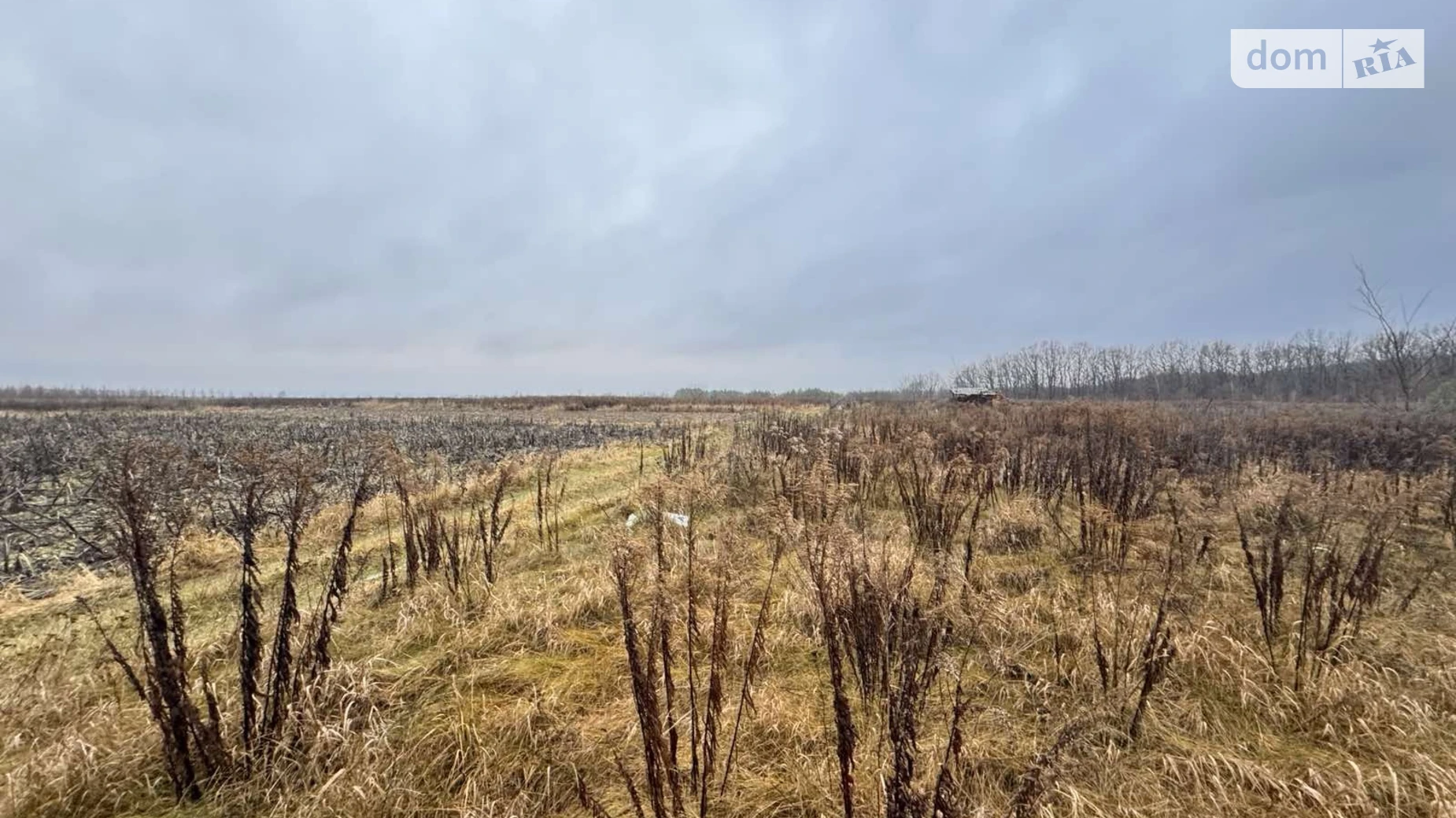 Продается земельный участок 10 соток в Винницкой области, цена: 14000 $ - фото 2