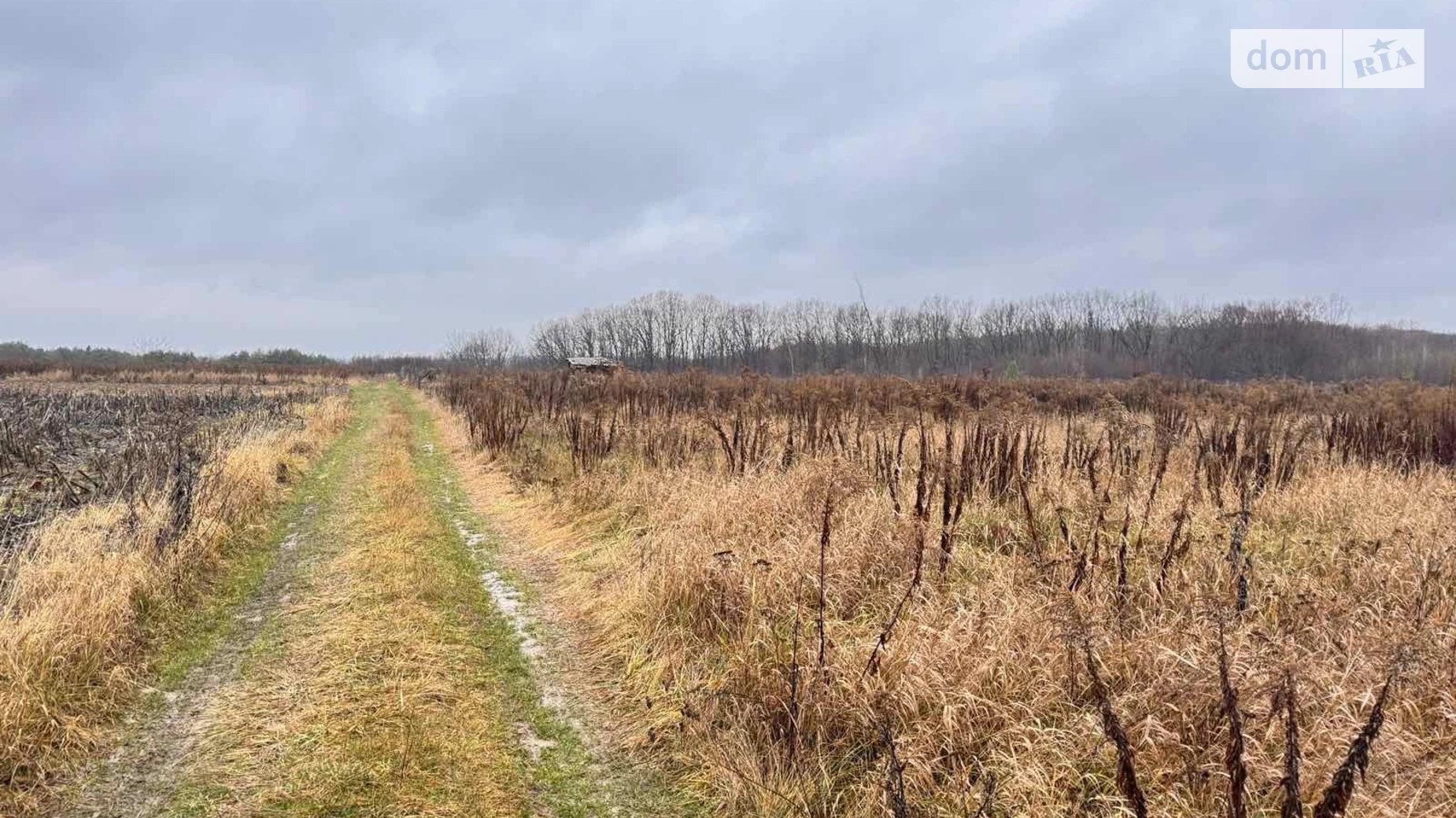 Продается земельный участок 10 соток в Винницкой области, цена: 14000 $ - фото 3