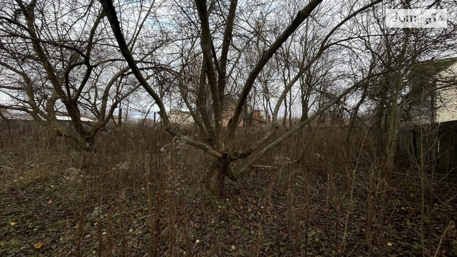 Продается земельный участок 7 соток в Полтавской области, цена: 9500 $ - фото 5