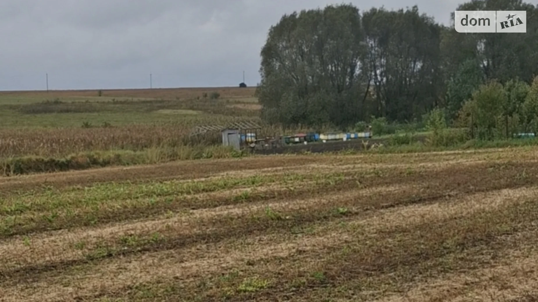 вулиця Каласентівка Великий Ходачков, цена: 27500 $ - фото 4