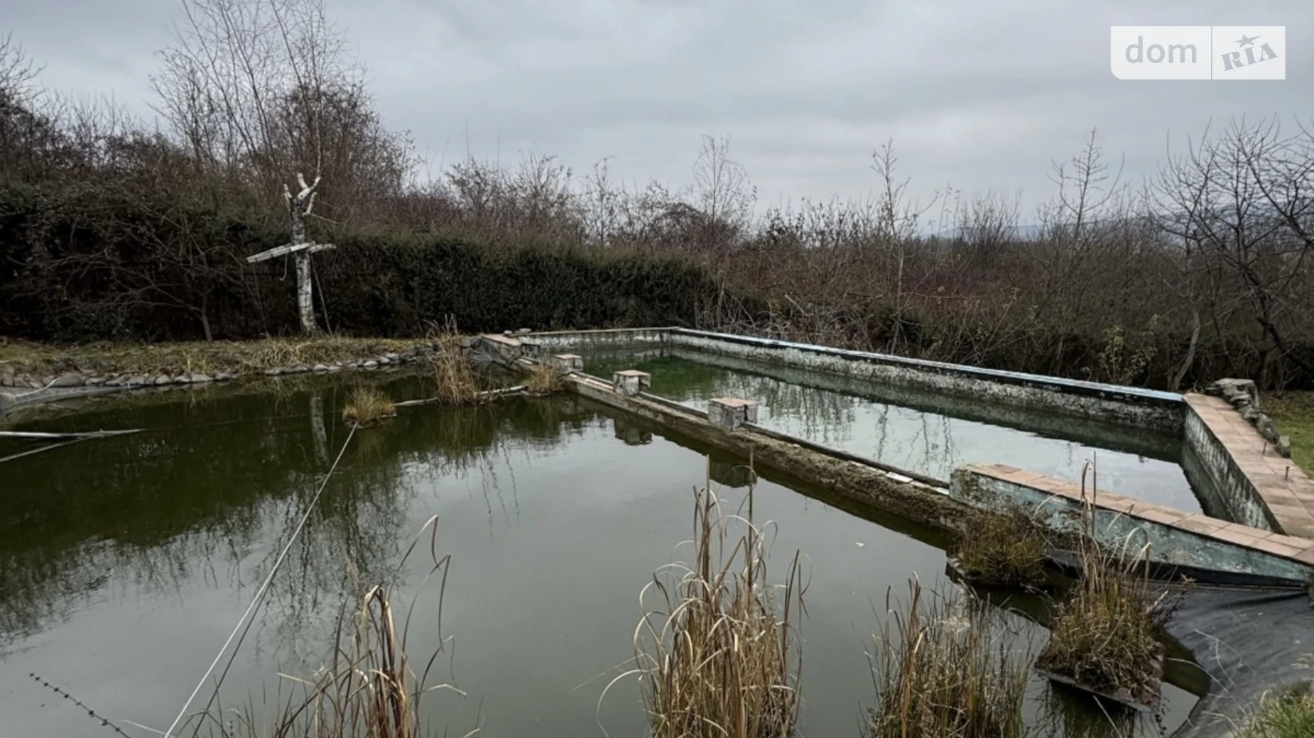 Продается земельный участок 27 соток в Закарпатской области, цена: 450000 $ - фото 2