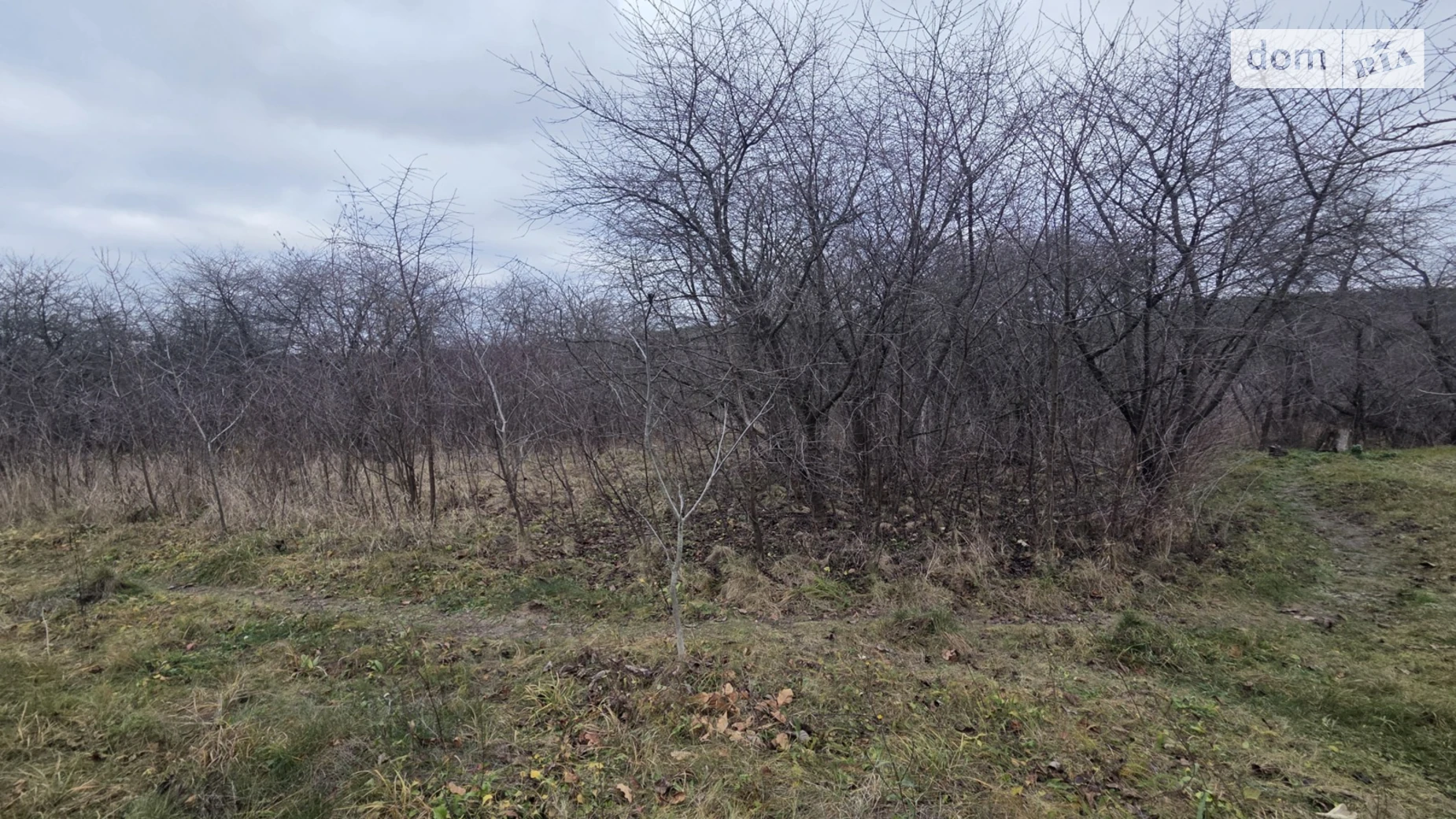 Продается земельный участок 15 соток в Винницкой области, цена: 5500 $ - фото 2