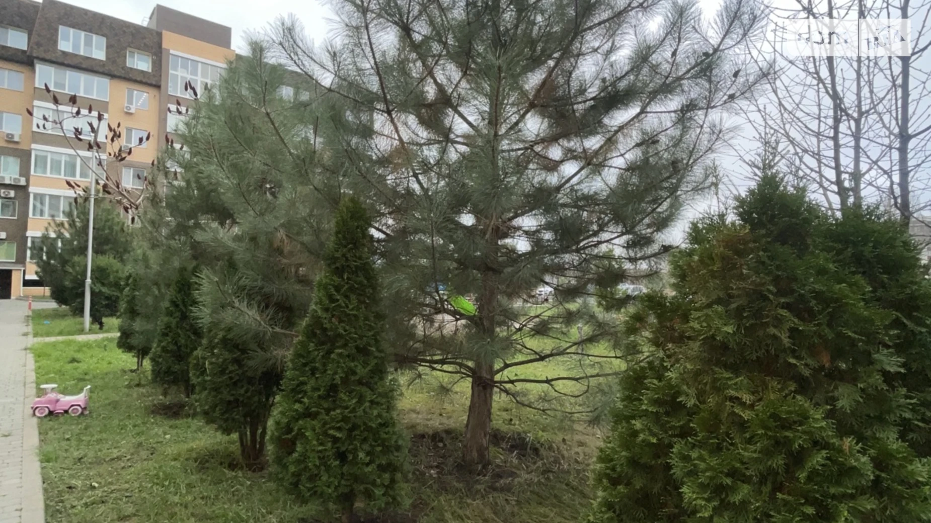 Продається 1-кімнатна квартира 42.3 кв. м у Крижанівка, вул. Софіївська, 2Г - фото 5