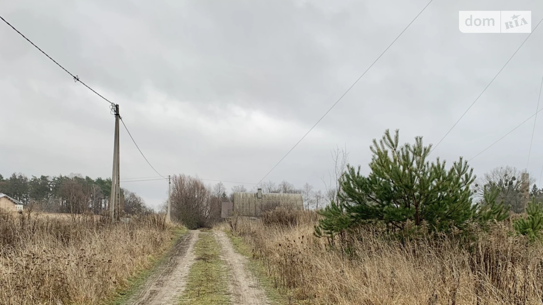 Продается земельный участок 10 соток в Ровенской области, цена: 11500 $ - фото 3