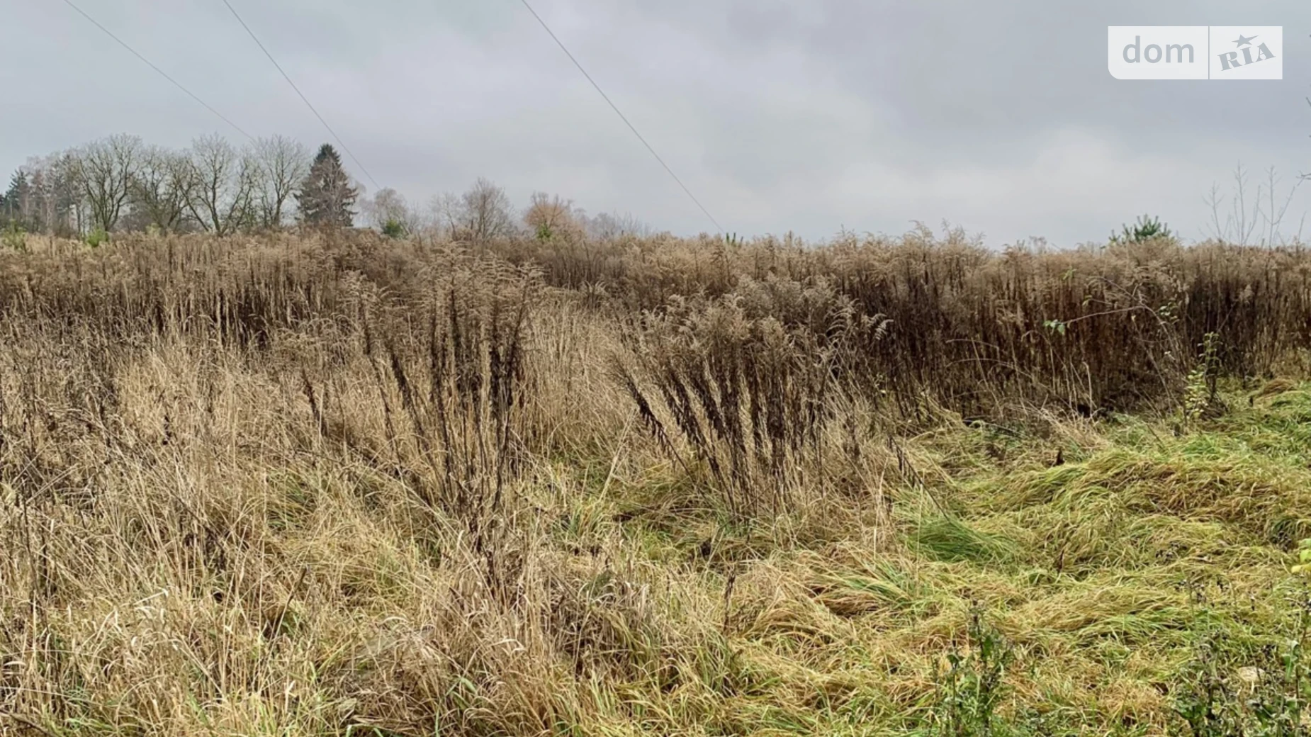 Продается земельный участок 10 соток в Ровенской области, цена: 11500 $ - фото 5