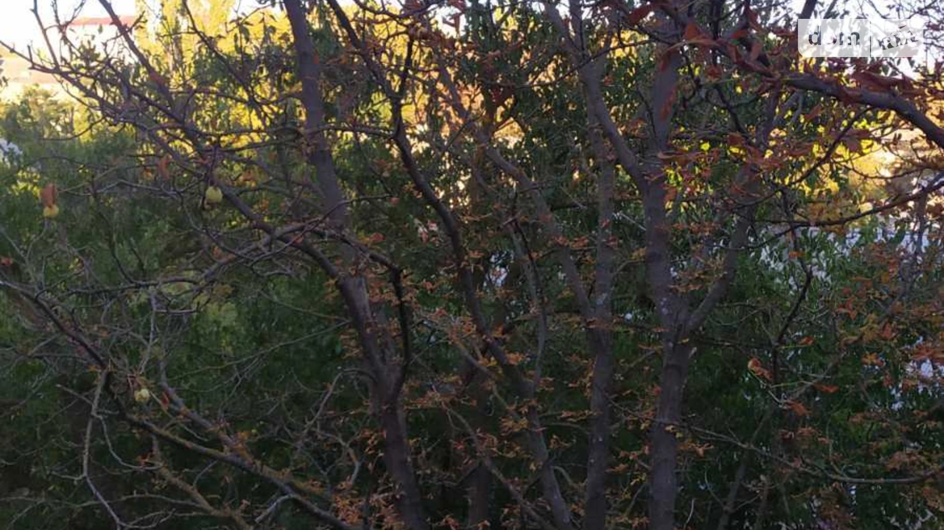 Сдается в аренду 1-комнатная квартира 32 кв. м в Николаеве, цена: 3000 грн - фото 2