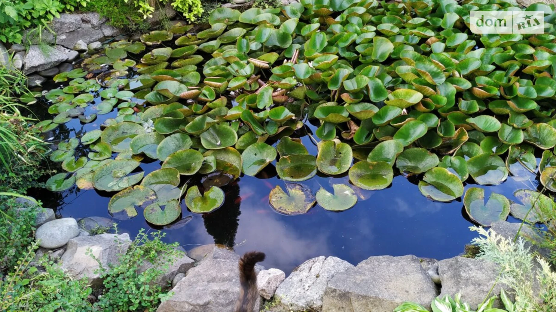 Продается дом на 2 этажа 270 кв. м с мебелью, цена: 1300 $ - фото 3