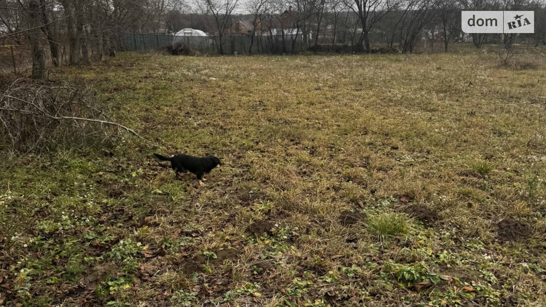 Продается земельный участок 11.7 соток в Винницкой области, цена: 22230 $ - фото 2