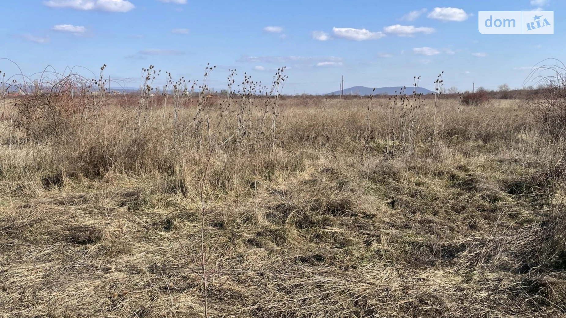 Продается земельный участок 20 соток в Закарпатской области, цена: 20500 $ - фото 2