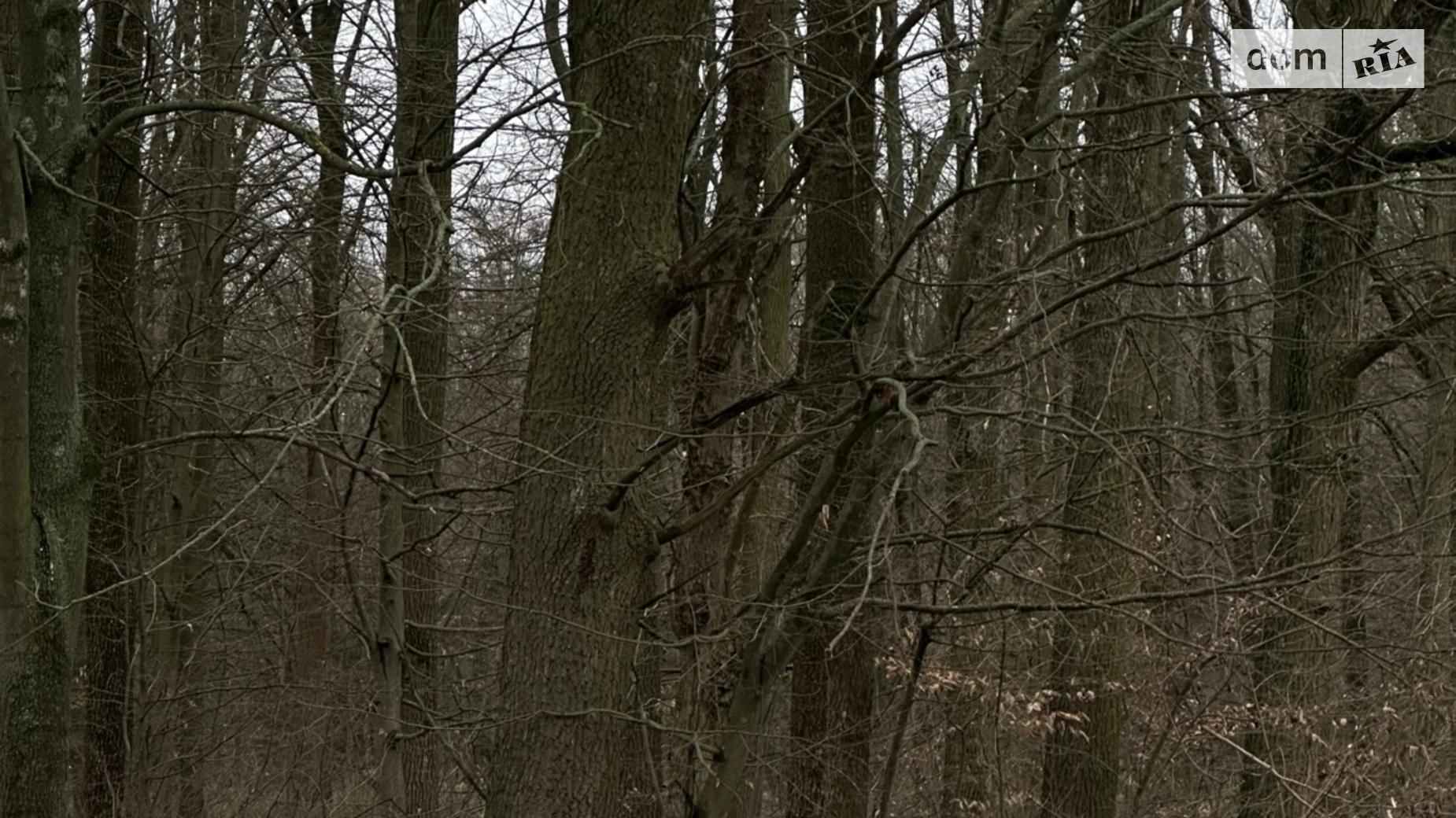 Продается земельный участок 10 соток в Винницкой области, цена: 53200 $ - фото 3