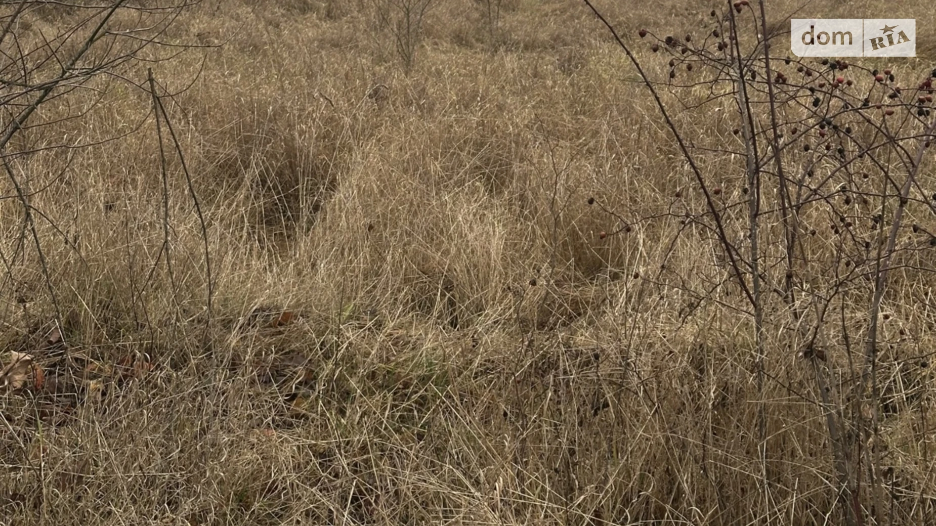 Продается земельный участок 10 соток в Винницкой области, цена: 53200 $ - фото 4