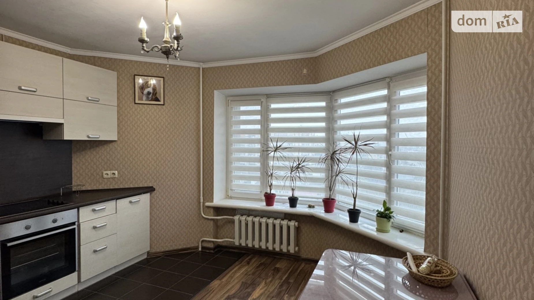 Сдается в аренду 1-комнатная квартира 57.1 кв. м в Хмельницком, ул. Пилотская, 7 - фото 3