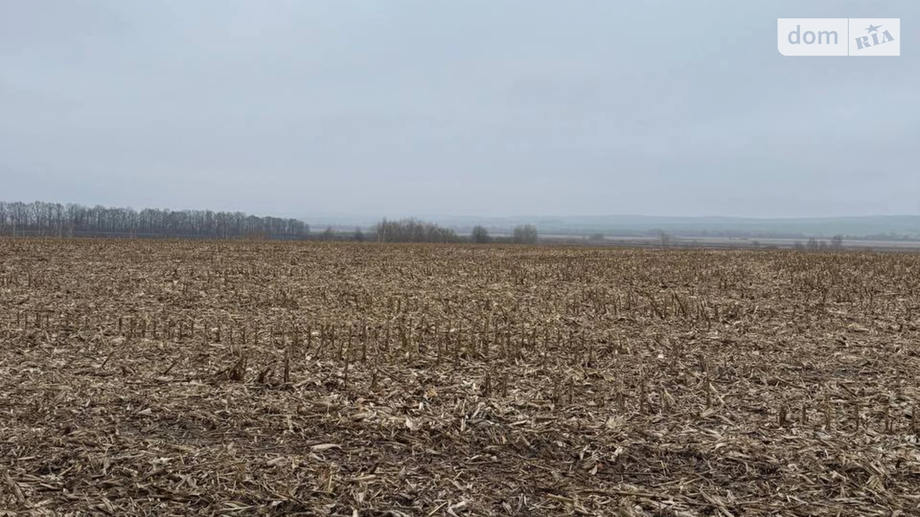 Продается земельный участок 1 соток в области, цена: 62500 $ - фото 4