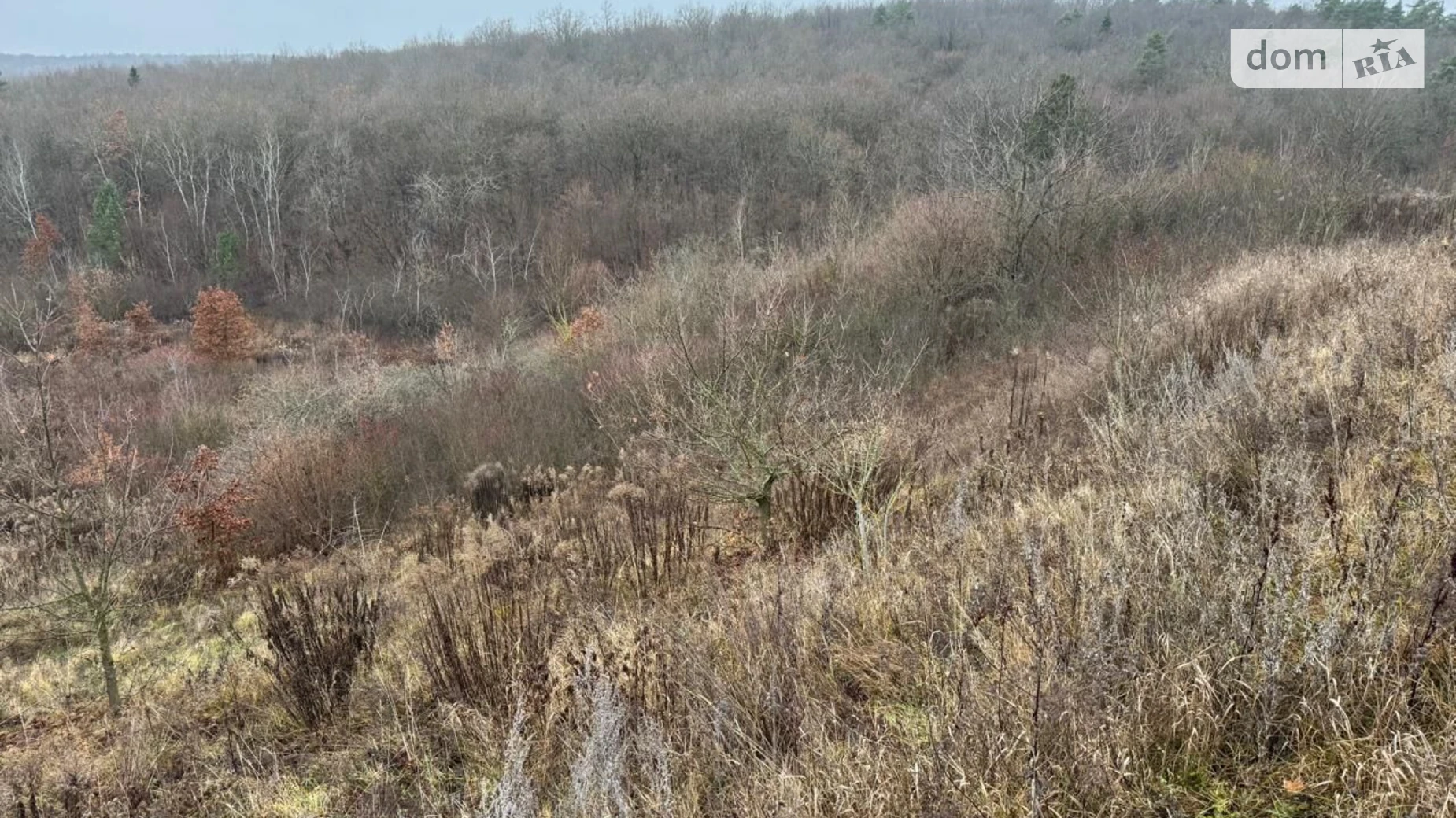 Сдается в аренду земельный участок 5.5262 соток в  области, цена: 5670 грн - фото 2