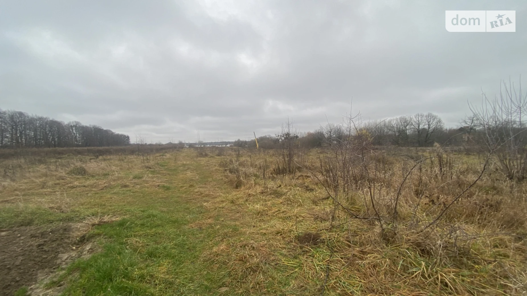 ул. Липовая Якушинцы, цена: 15000 $ - фото 2