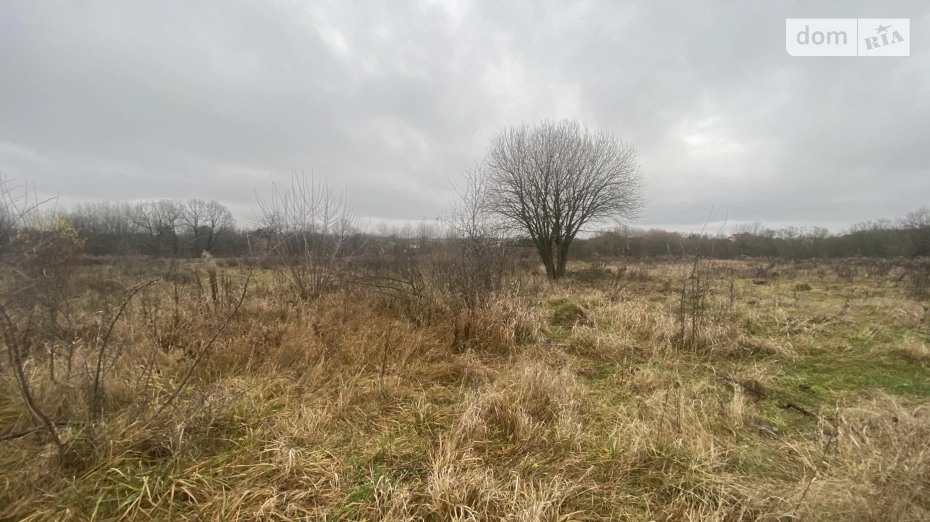 ул. Липовая Якушинцы, цена: 15000 $ - фото 3