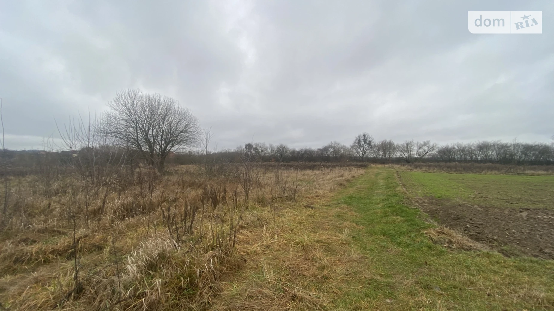 ул. Липовая Якушинцы, цена: 15000 $ - фото 5