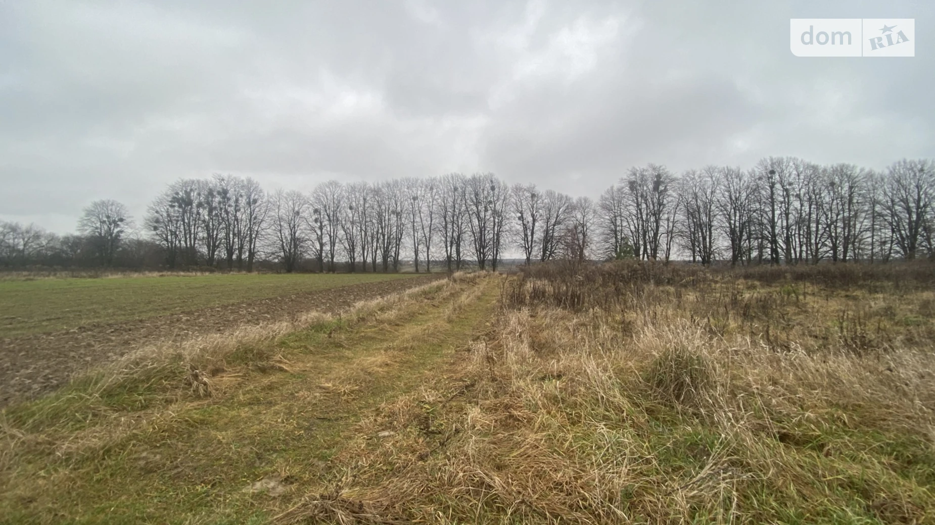 ул. Липовая Якушинцы, цена: 15000 $ - фото 4