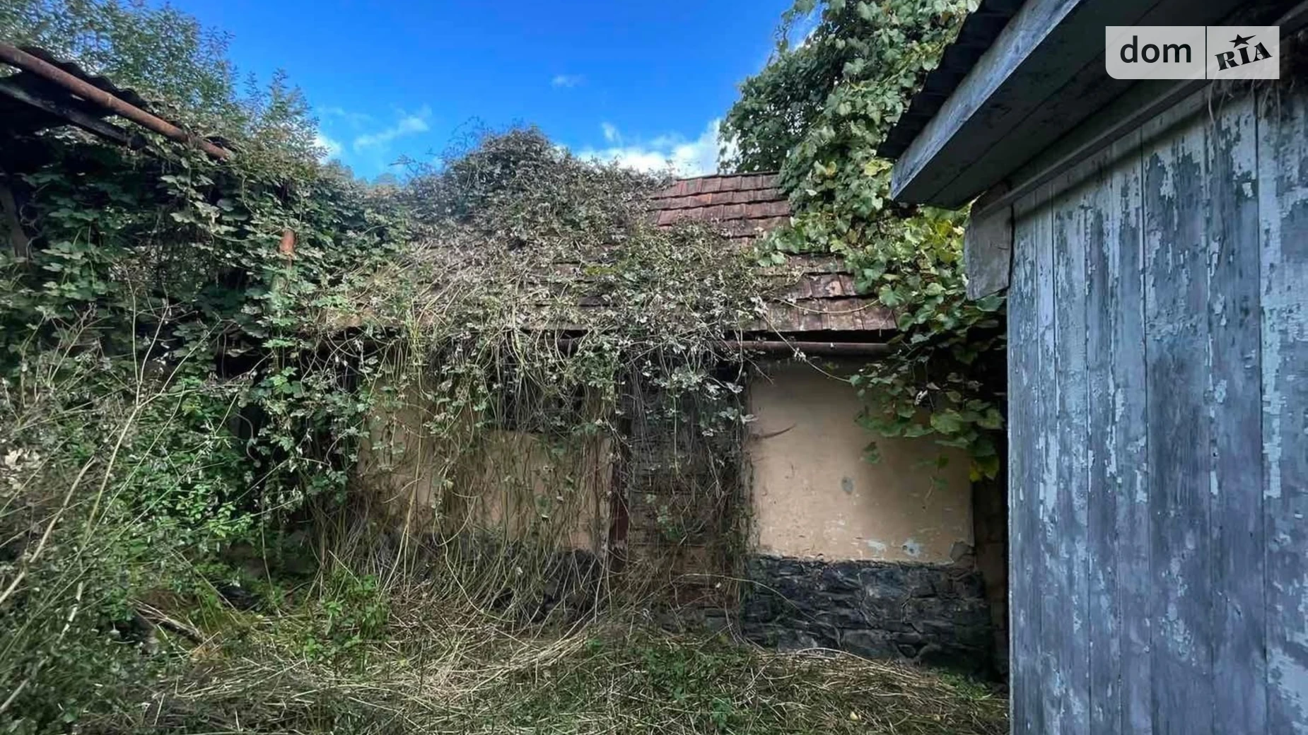 Продается земельный участок 5.55 соток в Закарпатской области, цена: 4000 $ - фото 3