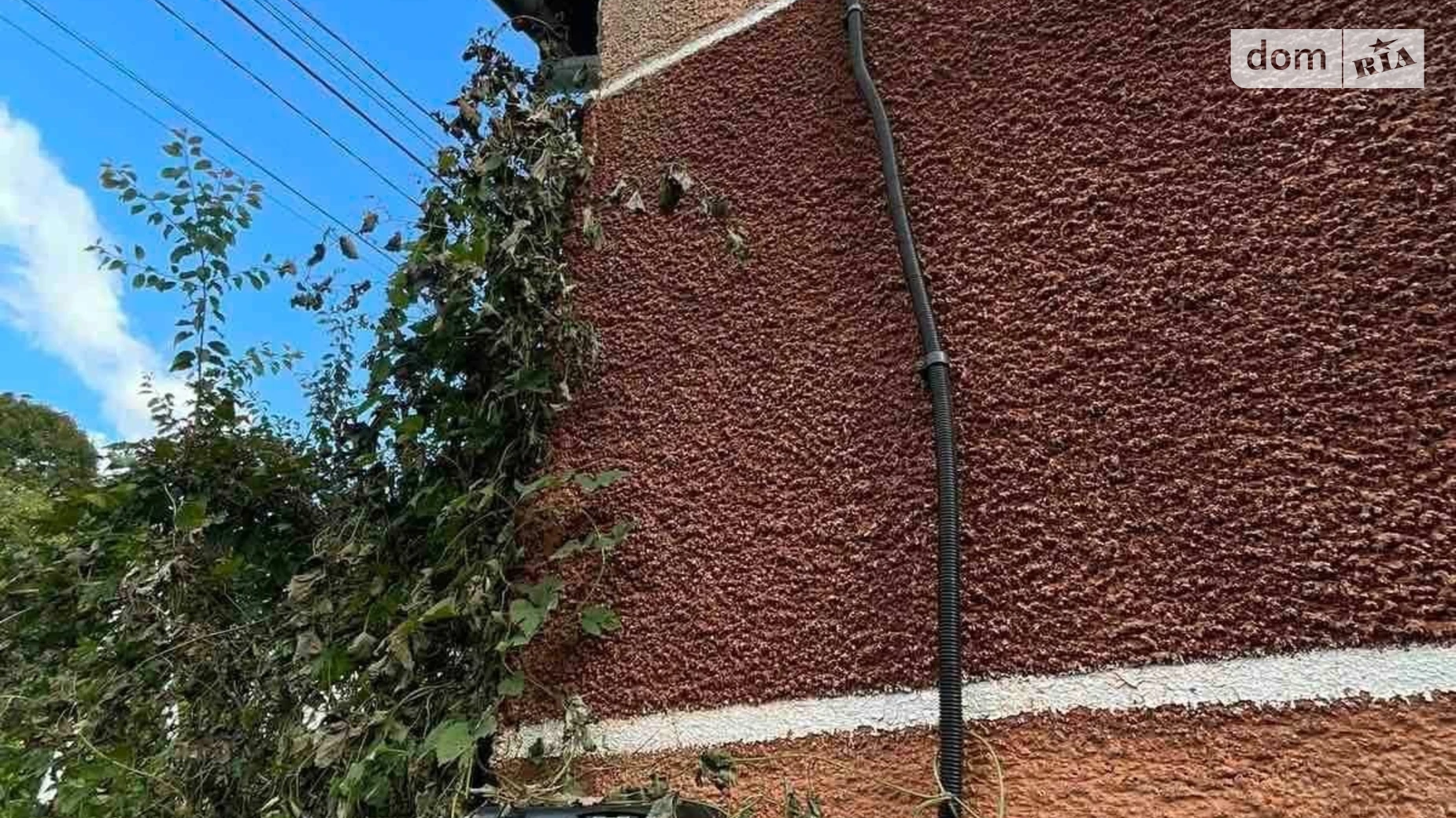 Продается земельный участок 5.55 соток в Закарпатской области, цена: 4000 $ - фото 4