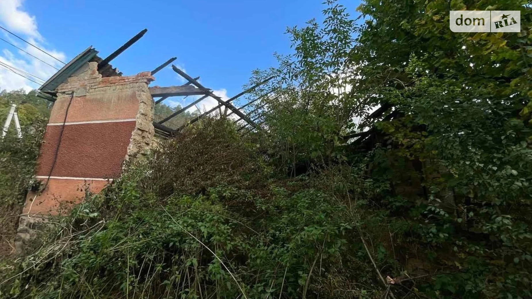 Продается земельный участок 5.55 соток в Закарпатской области, цена: 4000 $ - фото 5