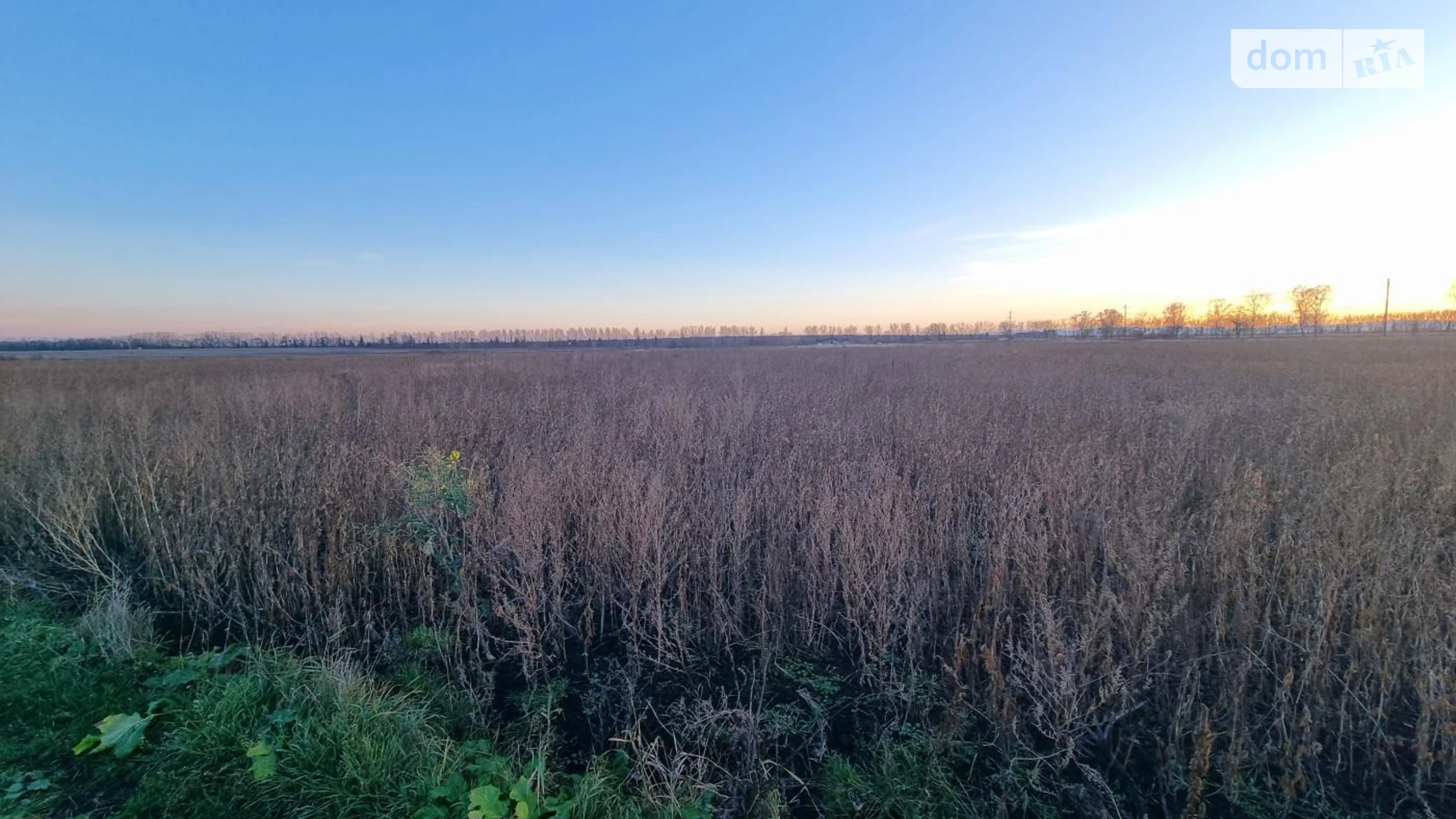 Продается земельный участок 17.24 соток в Ивано-Франковской области, цена: 14500 $ - фото 3