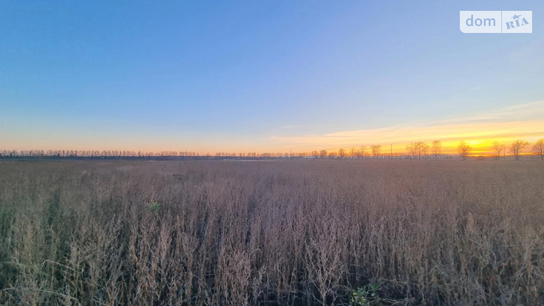 Продается земельный участок 17.24 соток в Ивано-Франковской области, цена: 14500 $ - фото 5