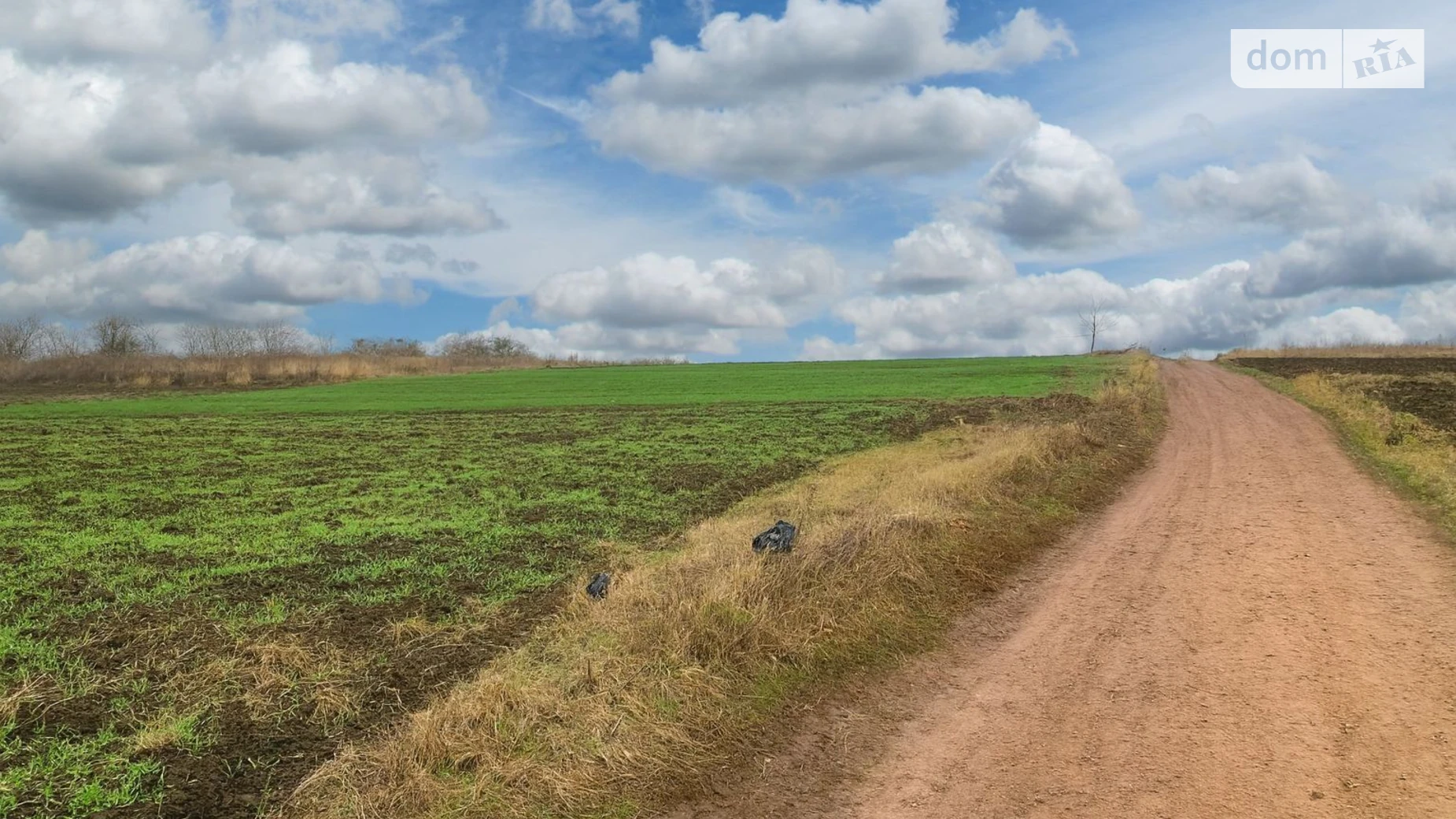 Продается земельный участок 8 соток в Ровенской области, цена: 8500 $ - фото 5