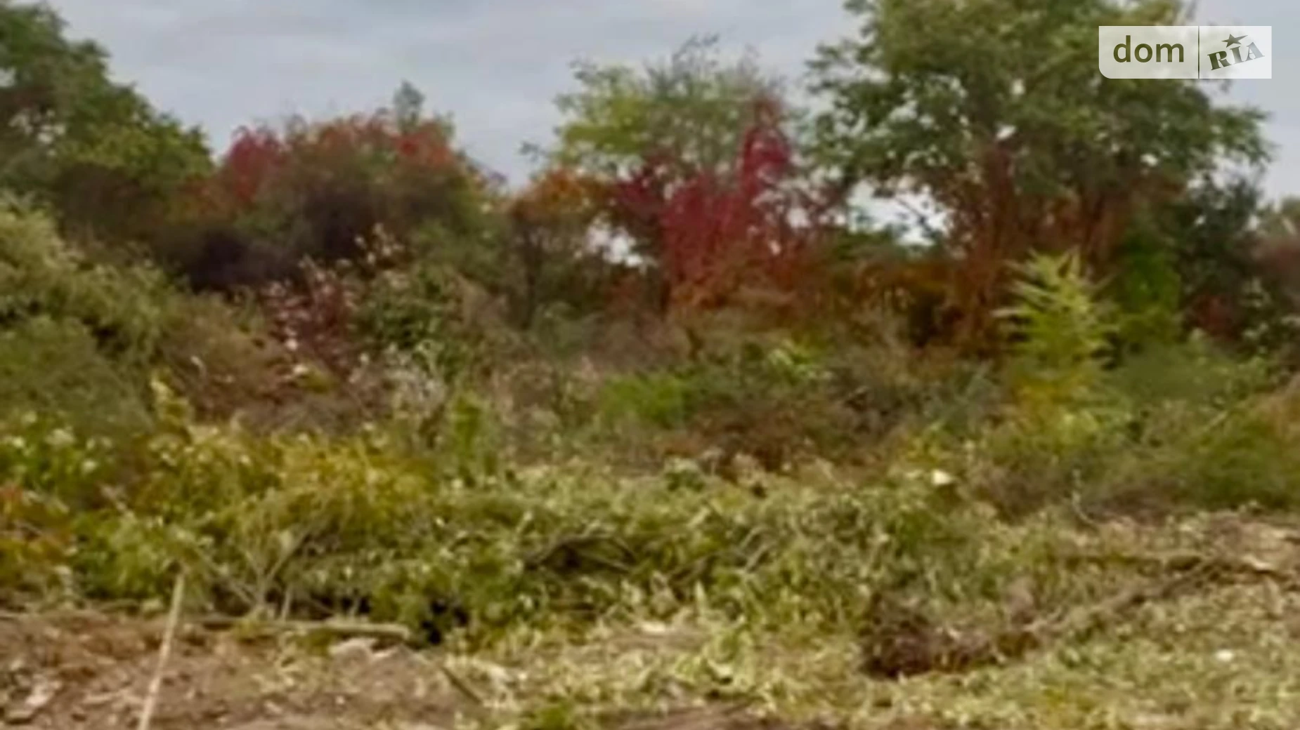 Продается земельный участок 10 соток в Закарпатской области, цена: 45000 $ - фото 3