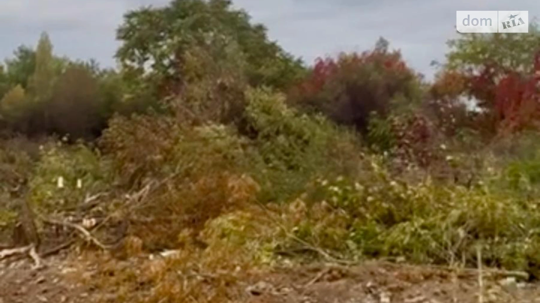 Продается земельный участок 10 соток в Закарпатской области, цена: 45000 $ - фото 2