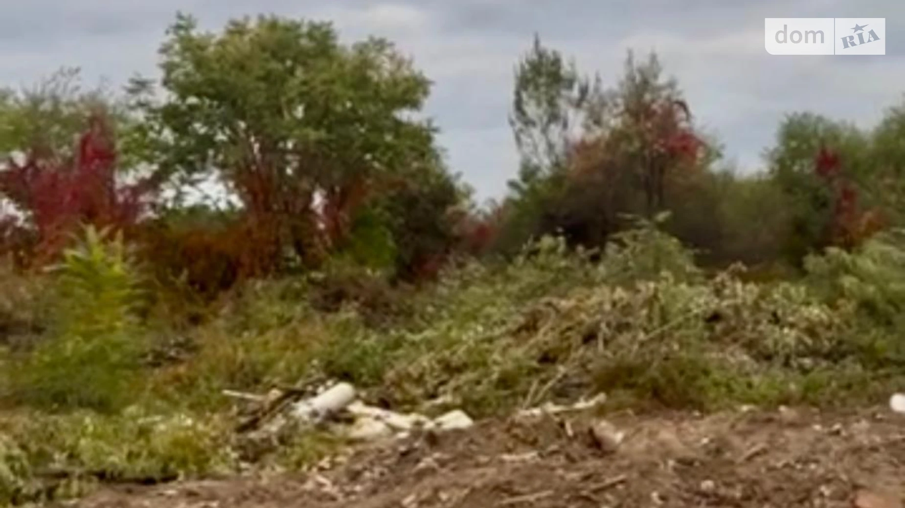 Продается земельный участок 10 соток в Закарпатской области, цена: 45000 $ - фото 4