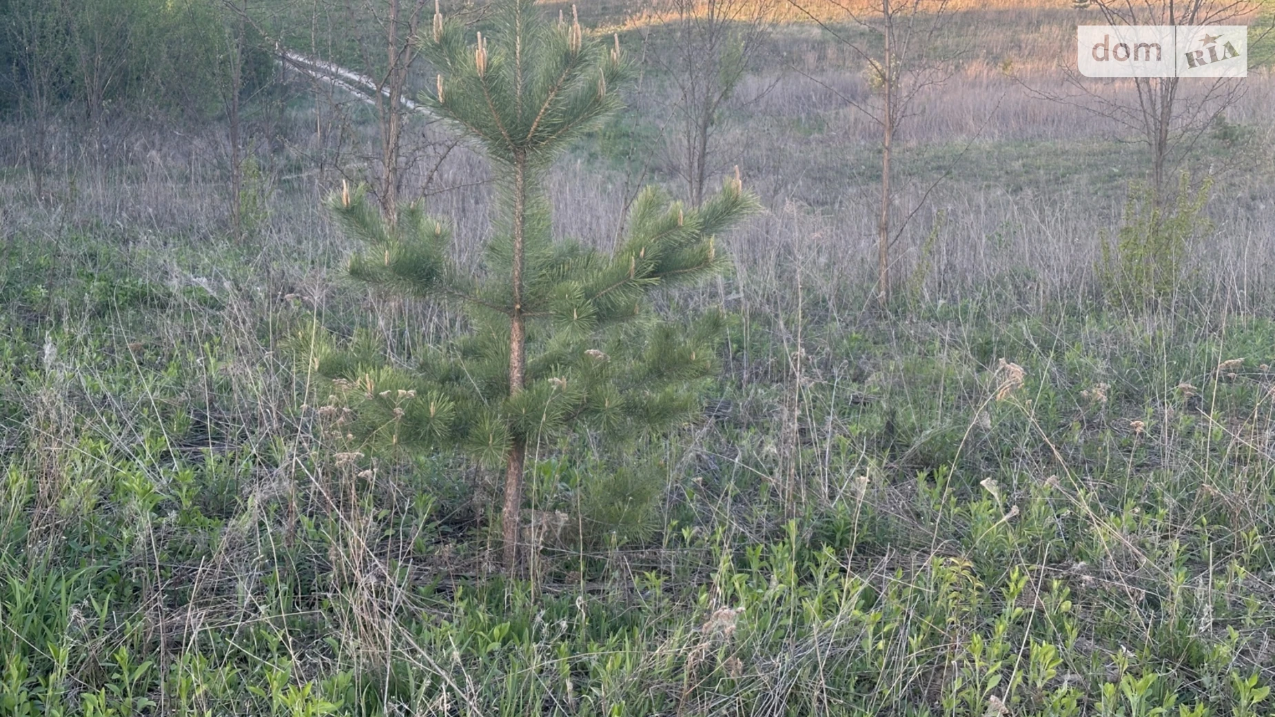 Продается земельный участок 9 соток в Винницкой области, цена: 20500 $ - фото 2