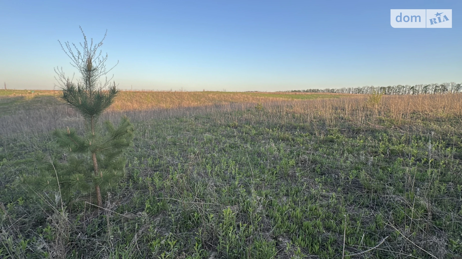 Продается земельный участок 9 соток в Винницкой области, цена: 20500 $ - фото 5