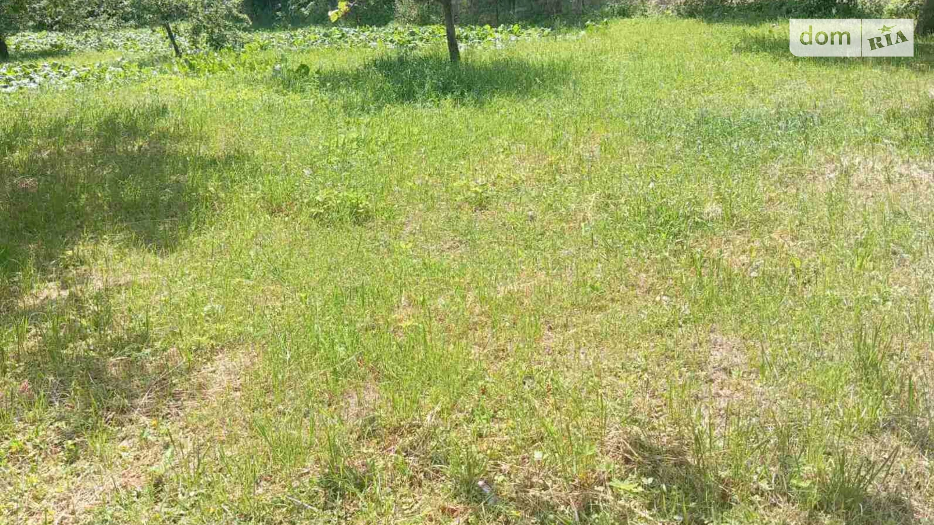 Продається земельна ділянка 45 соток у Вінницькій області, цена: 12000 $ - фото 3