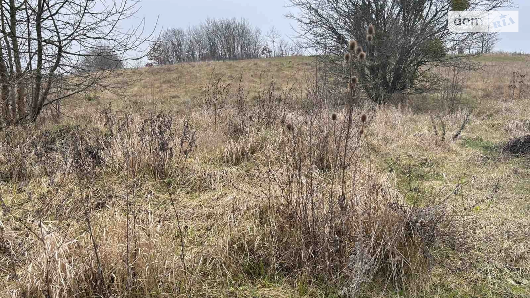 Продается земельный участок 15 соток в Винницкой области, цена: 10500 $ - фото 4