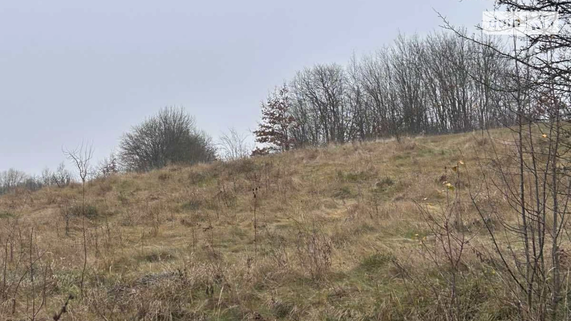 Продается земельный участок 15 соток в Винницкой области, цена: 10500 $ - фото 5