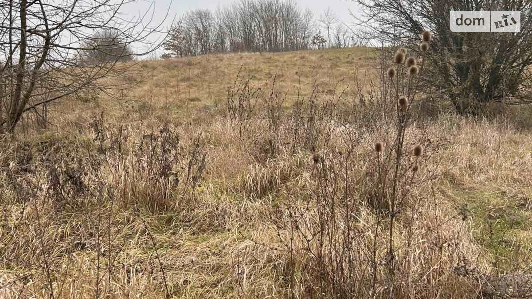 Продается земельный участок 15 соток в Винницкой области, цена: 10500 $ - фото 3