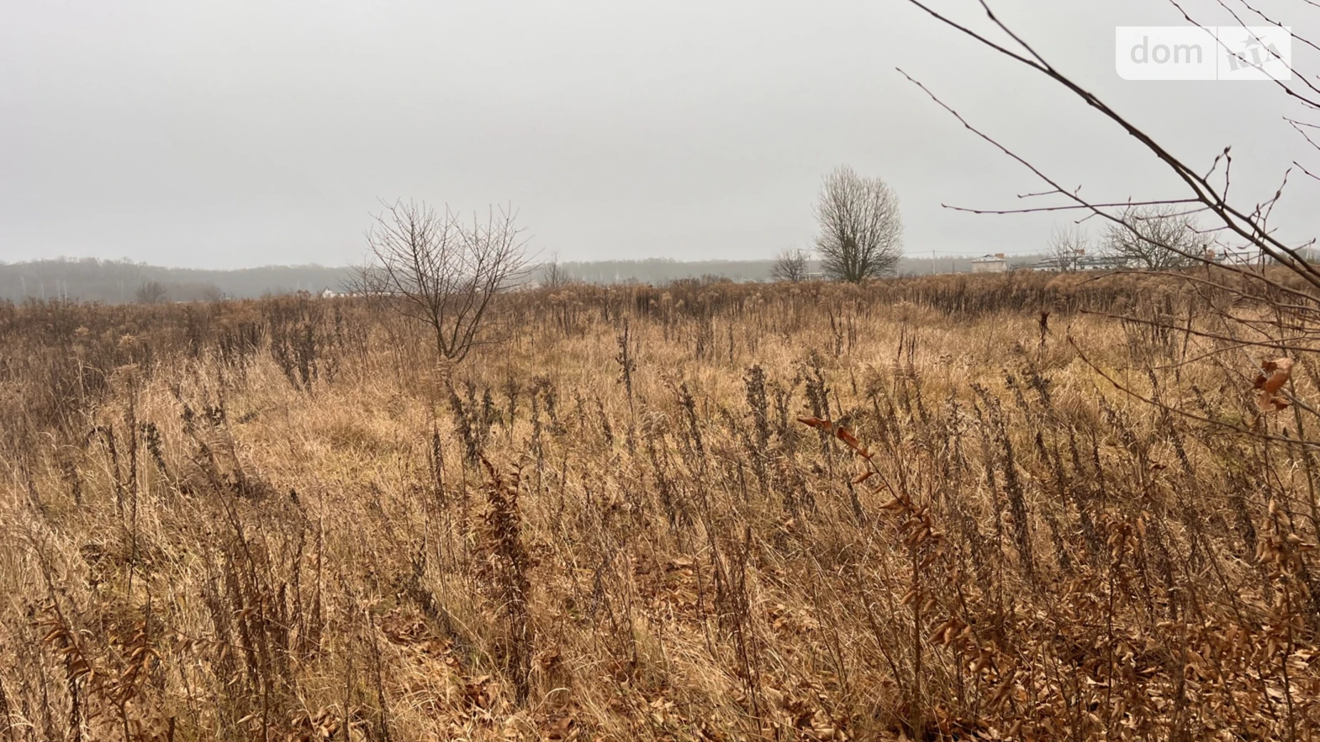 Продается земельный участок 10 соток в Винницкой области, цена: 20000 $ - фото 3